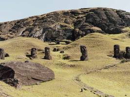 Archäologie: Osterinsel: Wo sind all die Bäume hin?