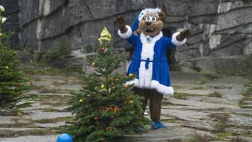 Warum Hertha BSC das Erzgebirge jetzt nach Berlin holt