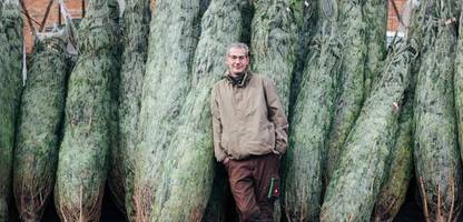 Weihnachtsbaum fürs Brandenburger Tor: »Für Berlin suchen wir einen besonders schönen aus«