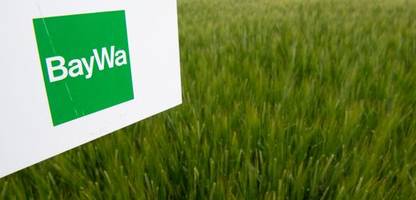 baywa will schulden deutlich reduzieren und kämpft mit umsatzeinbruch