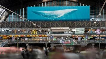 kritiker empört geplanter „monsterscreen“ im hauptbahnhof – „obszön“