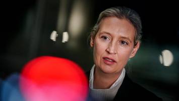 „kaderschmiede“: das erwartet alice weidel von der neuen afd-jugend
