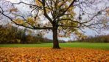 DWD-Bilanz: Wetterdienst: Milder Herbst in NRW