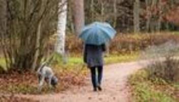 Deutscher Wetterdienst: Herbstbilanz: Mehr Niederschlag im Südwesten als üblich