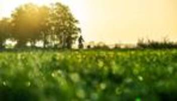 Dritte Jahreszeit: Wetterbilanz: Herbst brachte MV viel Sonne