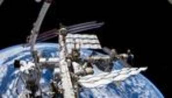 Nach mehrjähriger Pause: Tiere vom All aus im Blick – Projekt Icarus startet neu