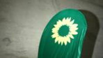 parteitag der grünen: sie suchen noch und finden nicht