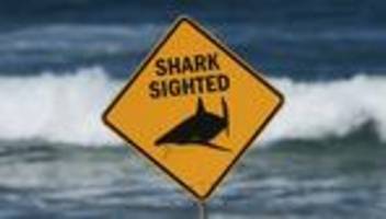 Tödliche Attacke in Australien: Bullenhai greift Schweizer Paar an – filmte GoPro das Drama?