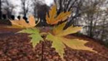 Wetter-Bilanz: DWD: Hitze und Schnee im Herbst 2025, aber keine Rekorde