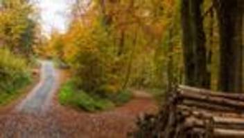 wetterbilanz: herbst in hessen: in keinem bundesland weniger sonnenschein