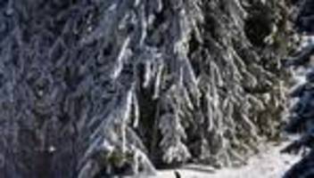 Wetterdienst-Bilanz: Kälteste Herbst-Temperatur bundesweit in Bayern gemessen