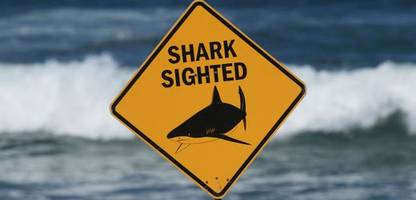 Crowdy Bay (Australien): Paar filmte tödliche Hai-Attacke möglicherweise mit GoPro