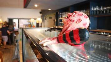 traurige trägheit: so bleibt harburg stadtteilkulturprovinz