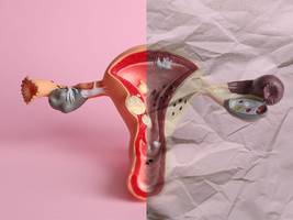 medizin: spätere menopause, längeres leben