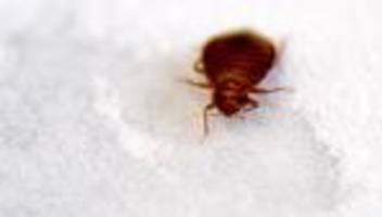 Parasitenbefall: Pariser Filminstitut schließt Kinosäle wegen Bettwanzen