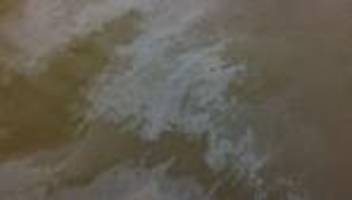 Umwelt: Ölschlieren auf der Elbe – Verursacher ist unbekannt