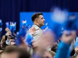 weidels afd-jugend: neugeburt in der kampfzone