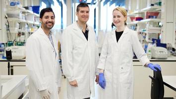 Ein Schlüssel zur maßgeschneiderten Krebstherapie