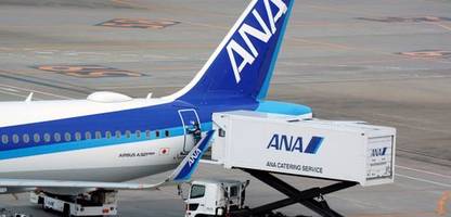 airbus a320: flugausfälle weltweit wegen softwareupdate