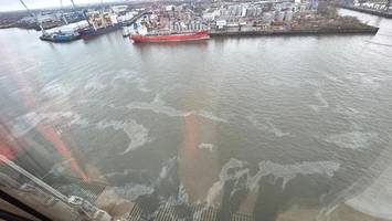 Ölfilm treibt vor der Elbphilharmonie im Hafen – Verursacher gesucht