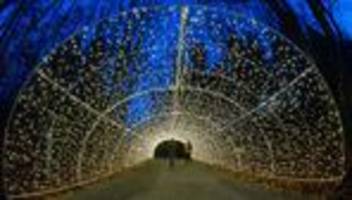 Adventszeit: Lichterzauber am Baumwipfelpfad