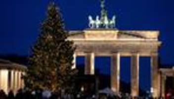 Brauchtum: Weihnachtsbaum am Brandenburger Tor angeknipst