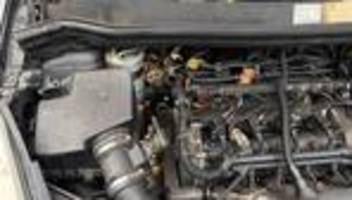 Tiere: Feuerwehr rettet im Motorraum eingeklemmte Katze