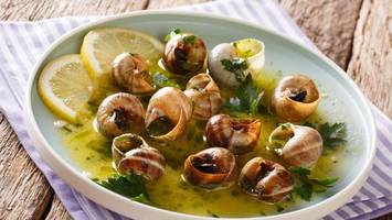 riesiger delikatessen-vorrat gestohlen – frankreich erlebt schnecken-schock