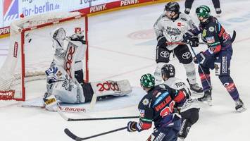 Eisbären setzen ihre Berg- und Talfahrt fort