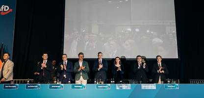 wieso die afd mit der »generation deutschland« zwei fehler macht