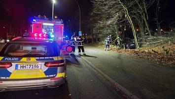 nach unfall: mann versteckt sich vor polizei im eigenen kofferraum