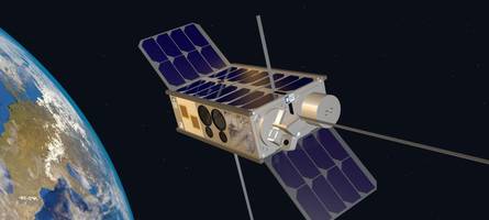 warum wildtiere aus dem weltall beobachtet werden