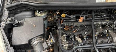 „sie wäre sonst gestorben“: feuerwehr augsburg befreit vermisste katze aus motorraum