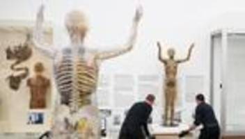 Ausstellungen: Gläserne Frau fortan in klimatisierter Vitrine zu sehen