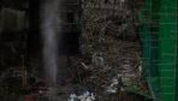 Tödliche Katastrophe: Wohnhaus-Großbrand in Hongkong: Opferzahl steigt auf 151