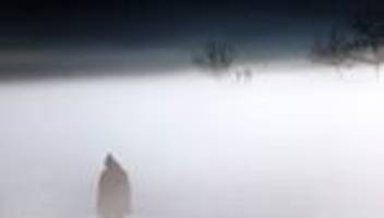 Wetter Bayern: Frost und Nebel zum Dezember – Sonne ab Dienstag möglich