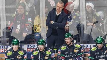 Die Eisbären und ein weit entfernter Strohhalm