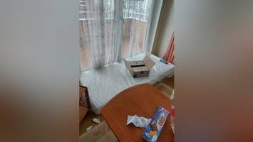 333 euro für ein bett im flur – der wohl dreisteste vermieter berlins