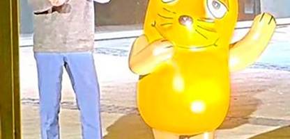 Köln: Fahndung nach Maus-Brandstifter – Polizei prüft Hinweise