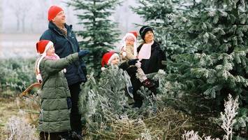 Wo das Tannenbaumschlagen in Stormarn zum kleinen Event wird