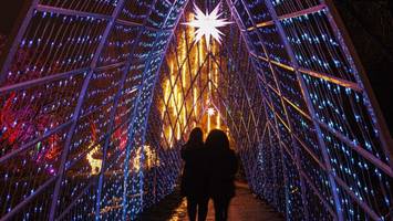 tipps für den christmas garden: lichtshow in hamburg gestartet