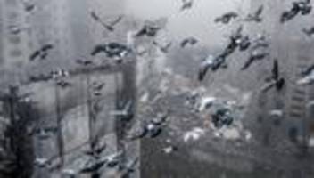 Ukraine-Krieg: Am Ende entscheidet die Front