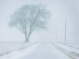 polarwirbel friert usa teils ein: minus 30 grad - kommt der kälteschock auch zu uns?