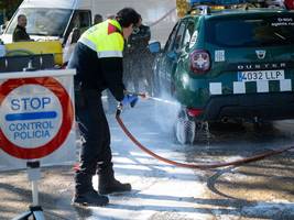 Seuchen: Schweinepest bedroht Spaniens Exportwirtschaft