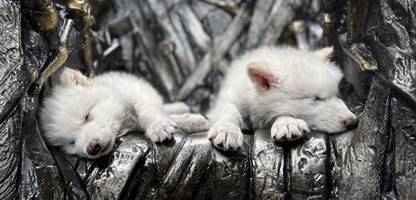 rummel um eine auferstehung: etwas richtiges, etwas großes