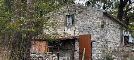 „Waldmenschen“ von Palmoli: Gibt es ein Happy End für die Hippies?