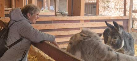 Neues Konzept: Wie kommt der Bäuerliche Adventszauber auf der Bäldleschwaige an?