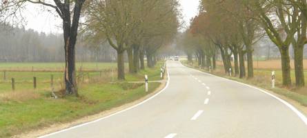 „Völlig hirnlose Aktion“: 23-Jähriger stirbt bei illegalem Autorennen – zufällig