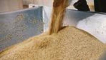 Bundesamt für Verbraucherschutz und Lebensmittelsicherheit: Bundesamt warnt vor Salmonellen in Sesamprodukten