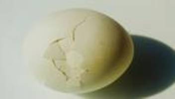 eltern-kind-beziehung: ein kontaktabbruch kann ein wichtiger selbstschutz sein